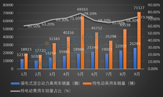 2018年中國新能源乘用車主要類別月度銷量