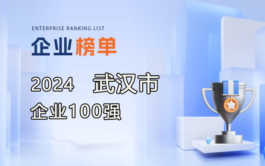 《2024武漢企業(yè)100強(qiáng)》榜單發(fā)布，附完整榜單！